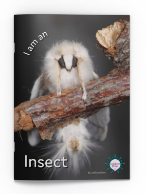 I am an Insect Big Book