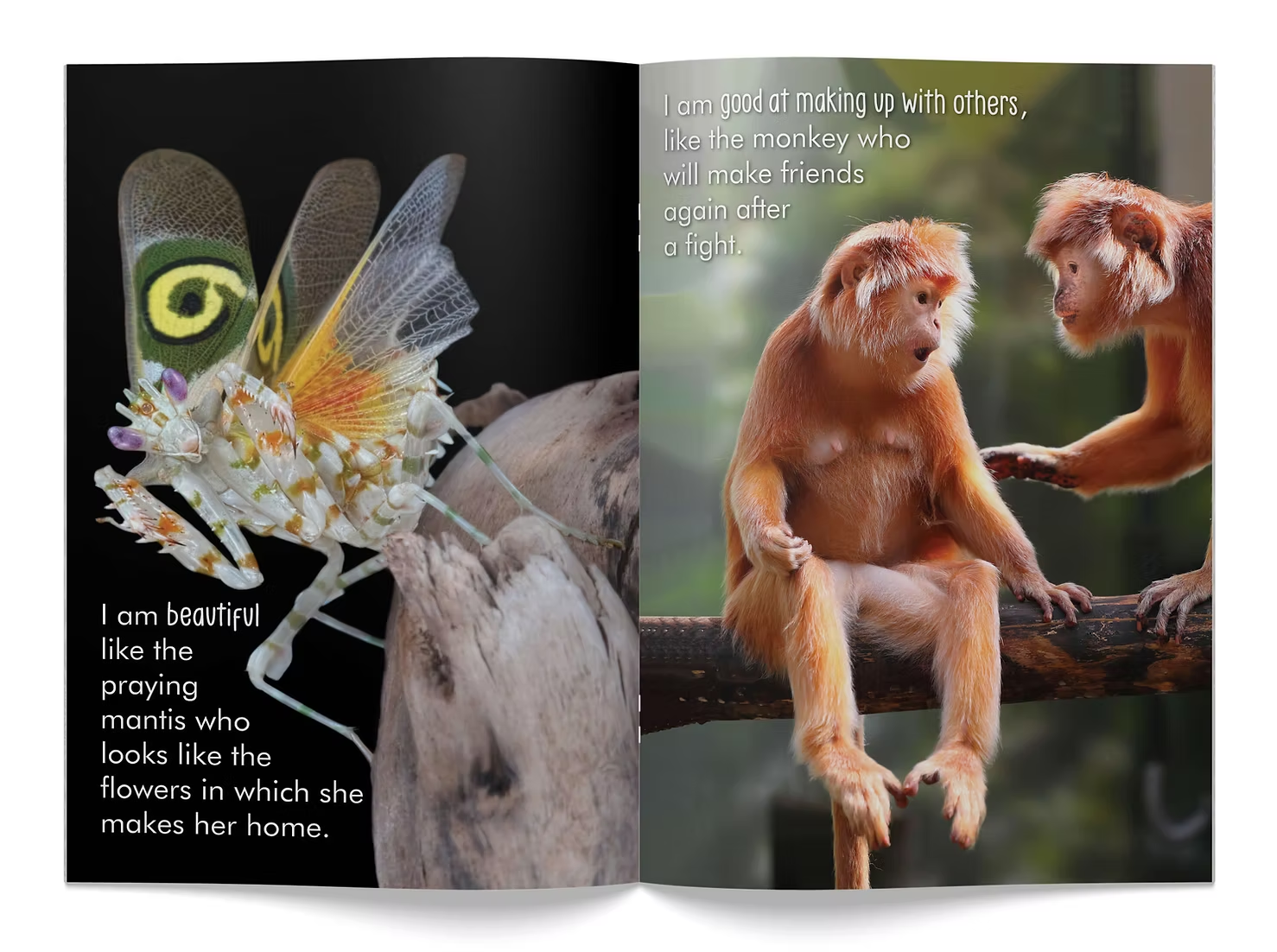 Creature Features Big Book - Image 2