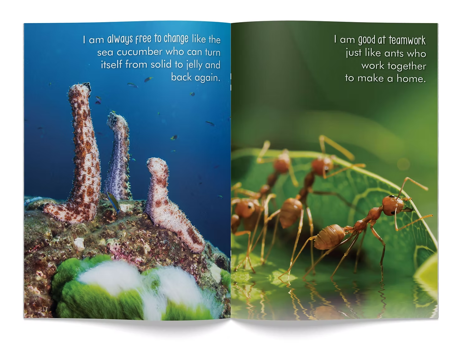 Creature Features Big Book - Image 3