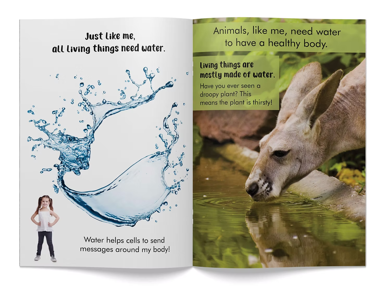 I Am A Living Thing Big Book - Image 2