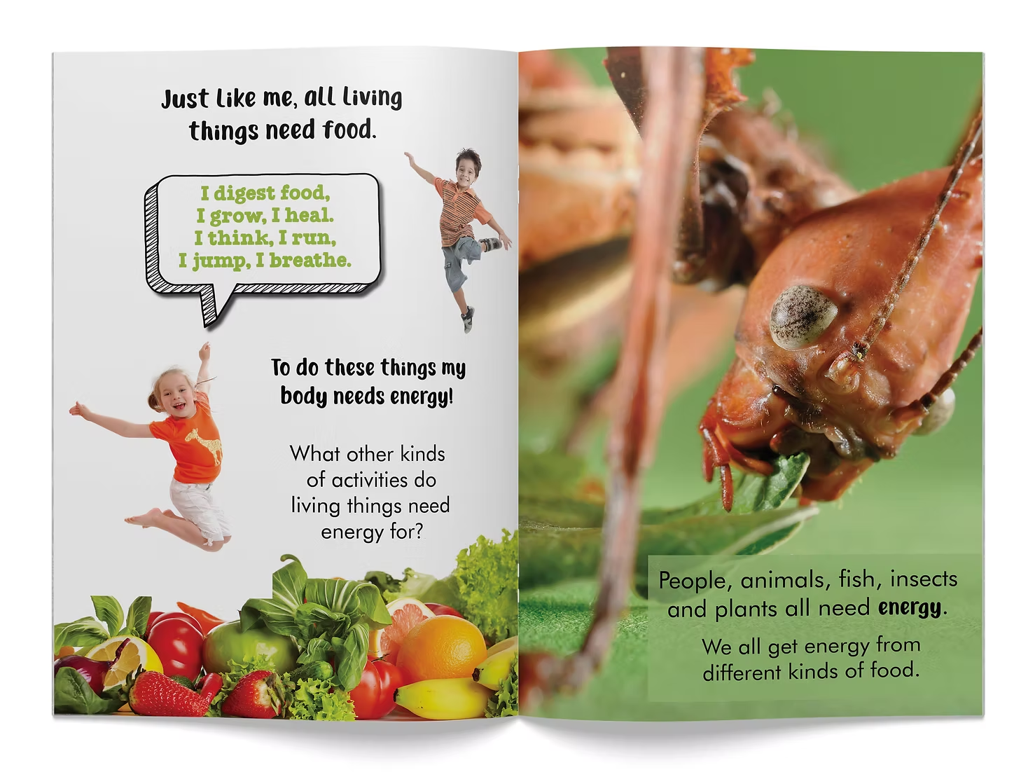 I Am A Living Thing Big Book - Image 3