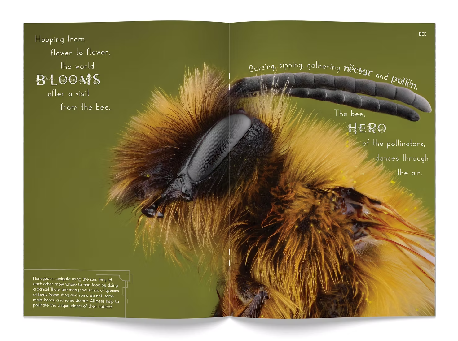 Minibeasts Make The World Go Round Big Book - Image 2
