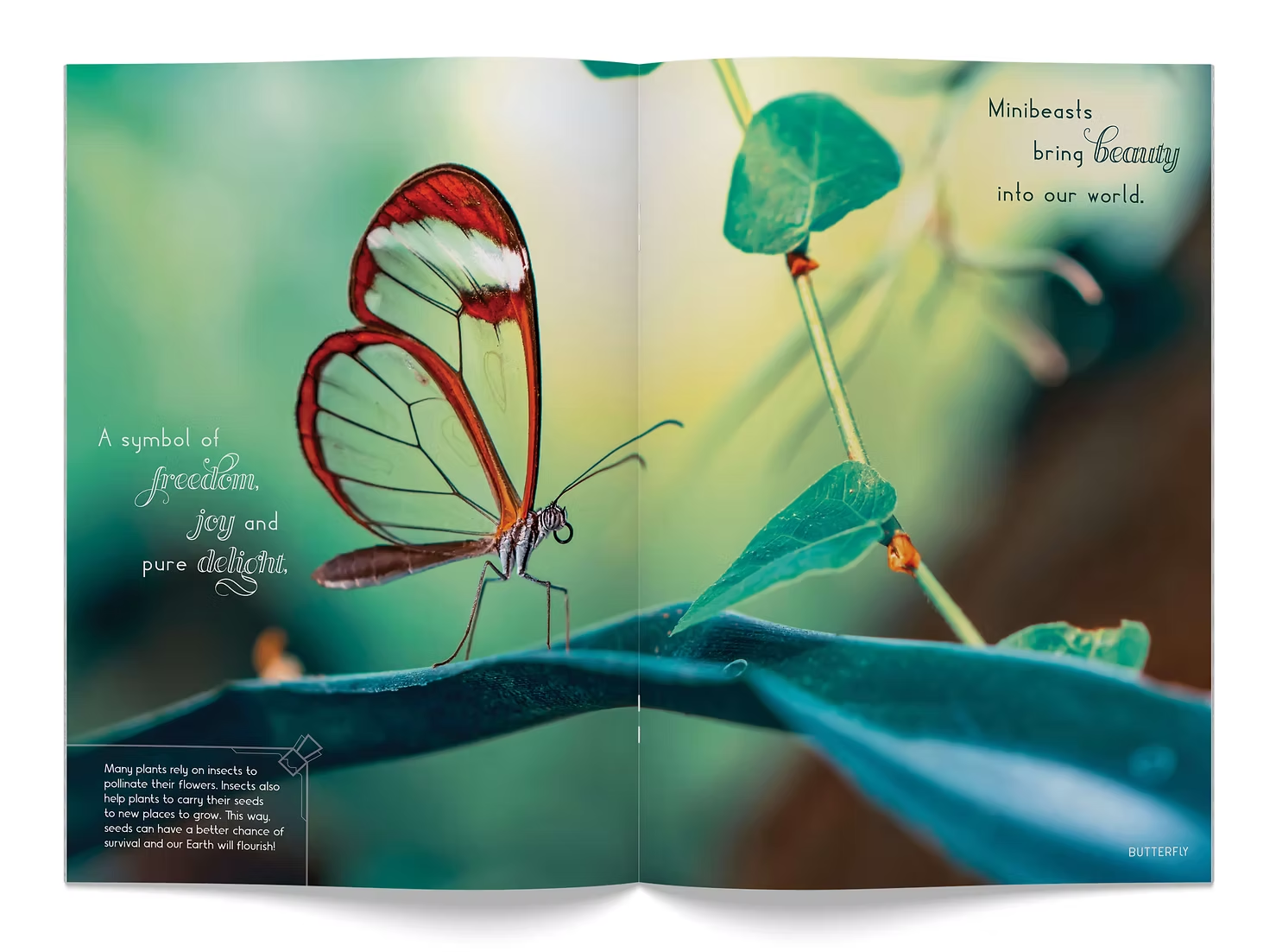 Minibeasts Make The World Go Round Big Book - Image 4