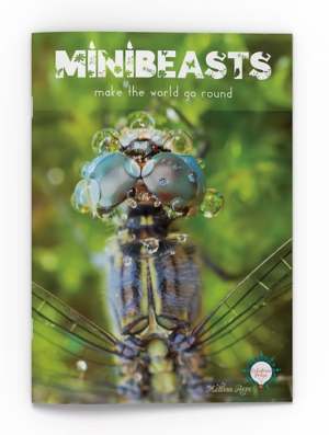 Minibeasts Make The World Go Round Big Book
