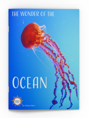The Wonder of the Ocean Big Book