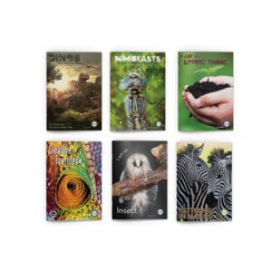 Natures Animals Big Book Set (6pcs)