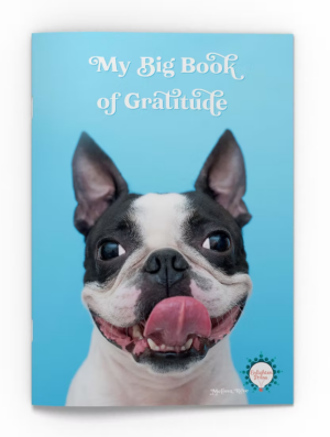 My Big Book Of Gratitude Big Book
