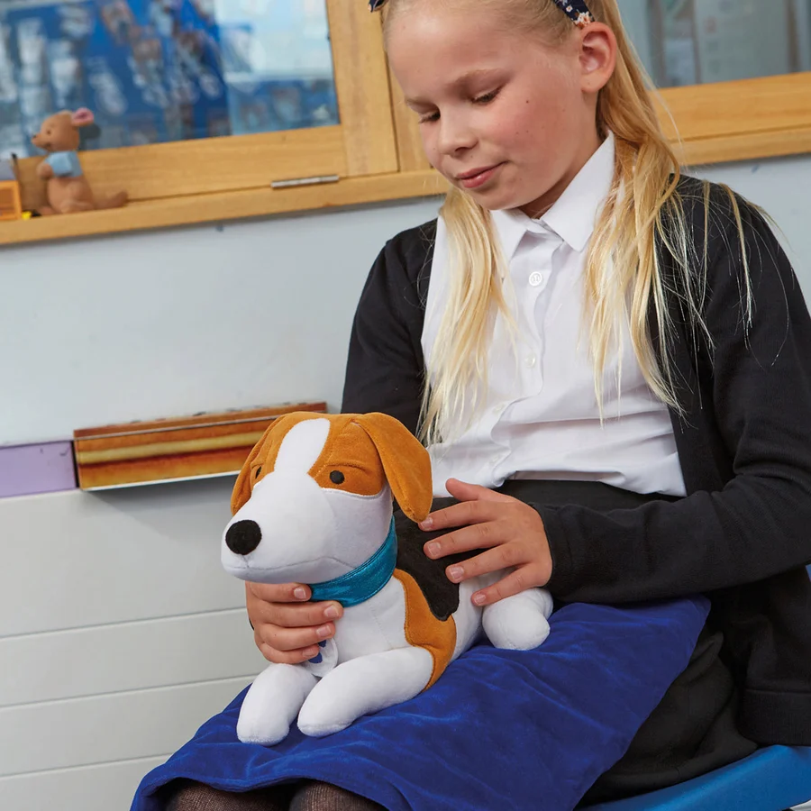 Weighted Lap Beagle - Image 2