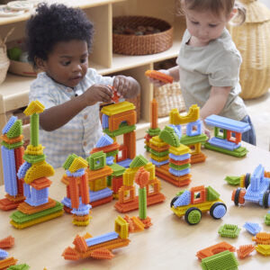 Bristle Blocks (220pcs)