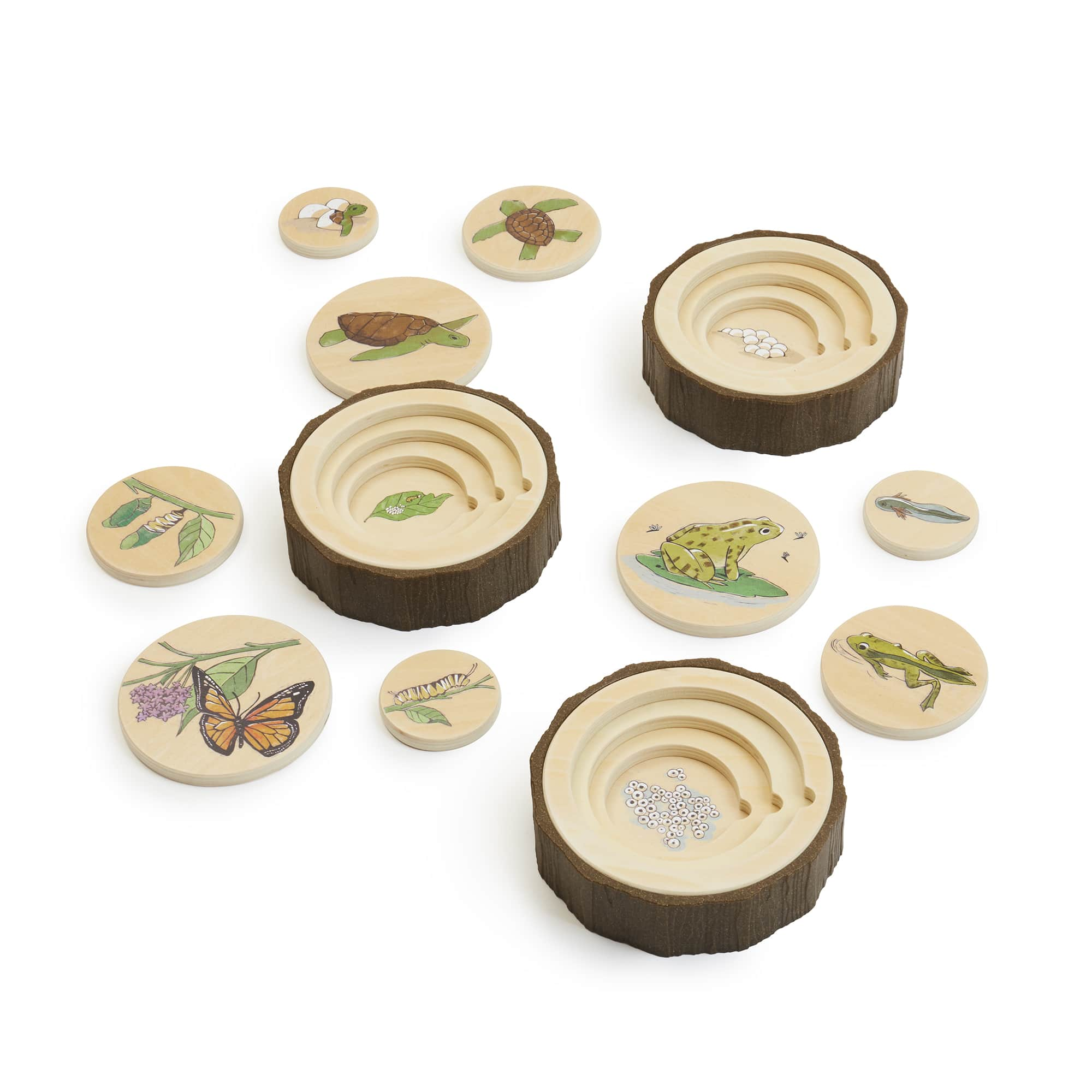Lifecycle Puzzle Set (3pcs) - Image 6