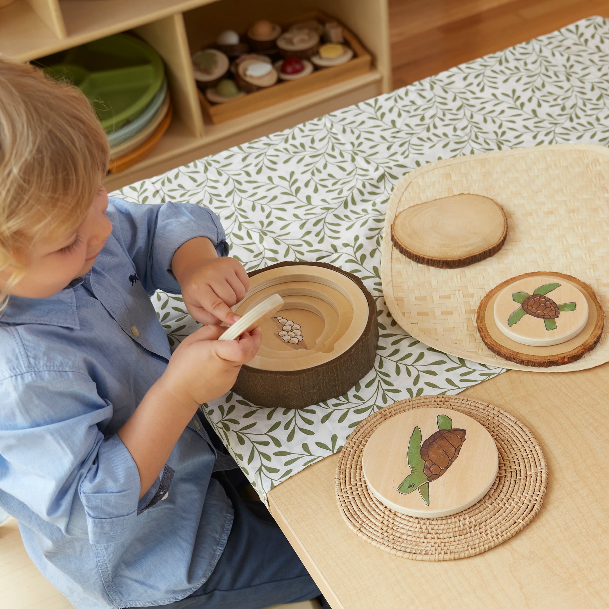 Lifecycle Puzzle Set (3pcs) - Image 5