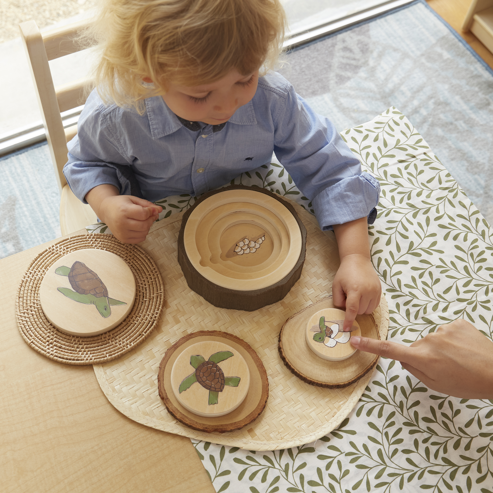 Lifecycle Puzzle Set (3pcs) - Image 4
