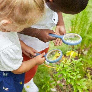 All-Weather Magnifying Glass Set (4pcs)