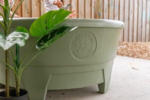All-In-One Play Tray only Fern