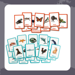 Literacy Cards & Games