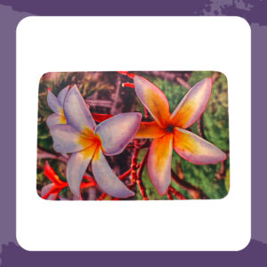 Samoan Resources