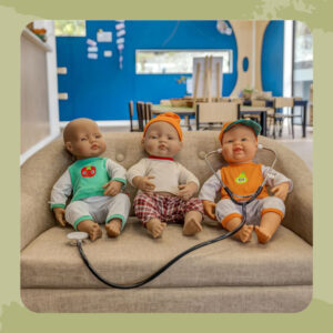 Large Dolls