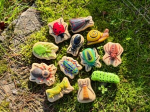 Sensory Stones - Bugs (12pcs)
