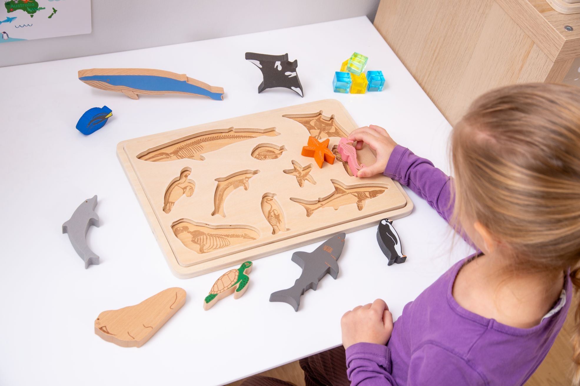 Ocean Animal Layer Puzzle Board (12pcs) - Image 8