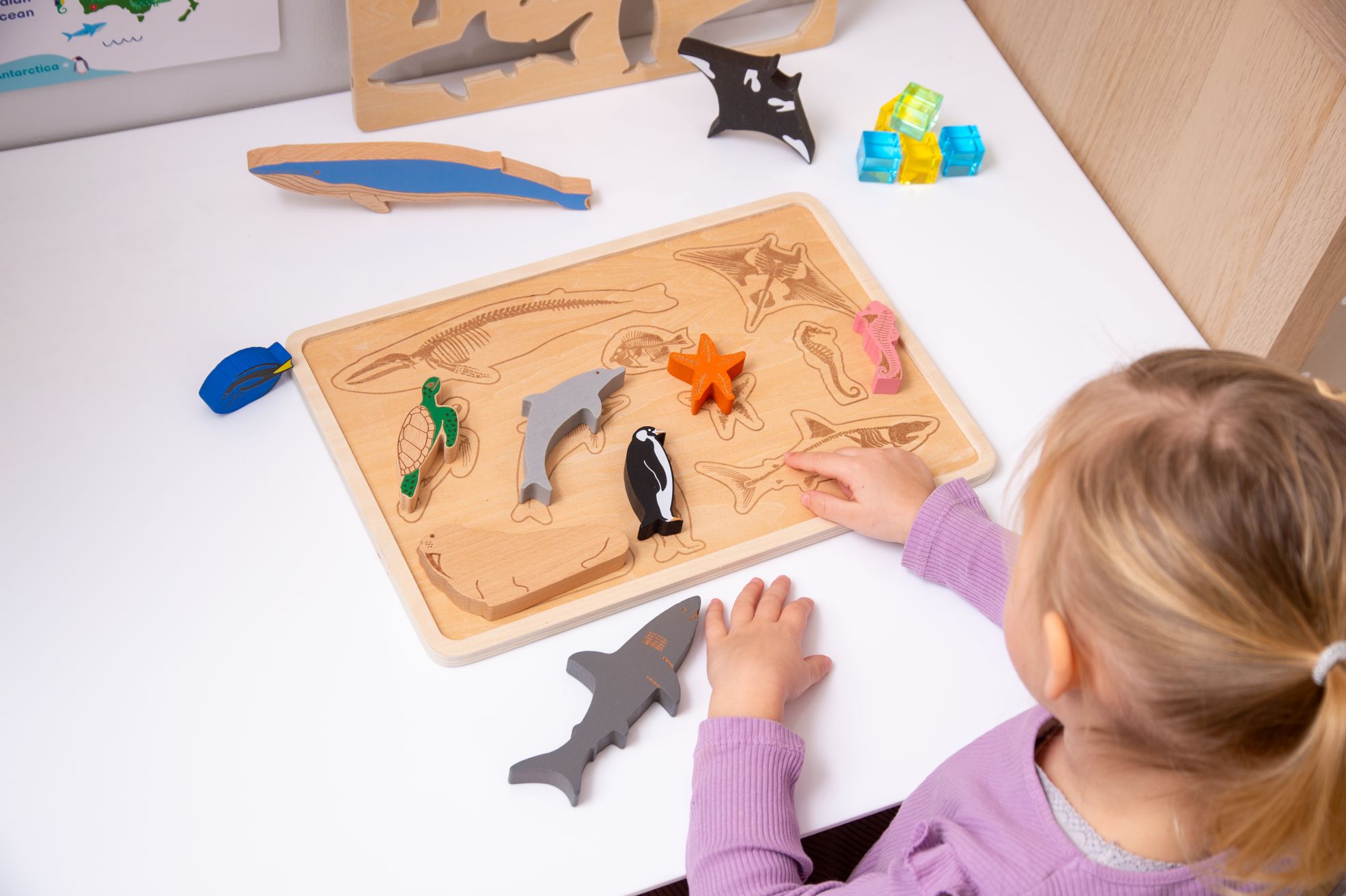Ocean Animal Layer Puzzle Board (12pcs) - Image 6