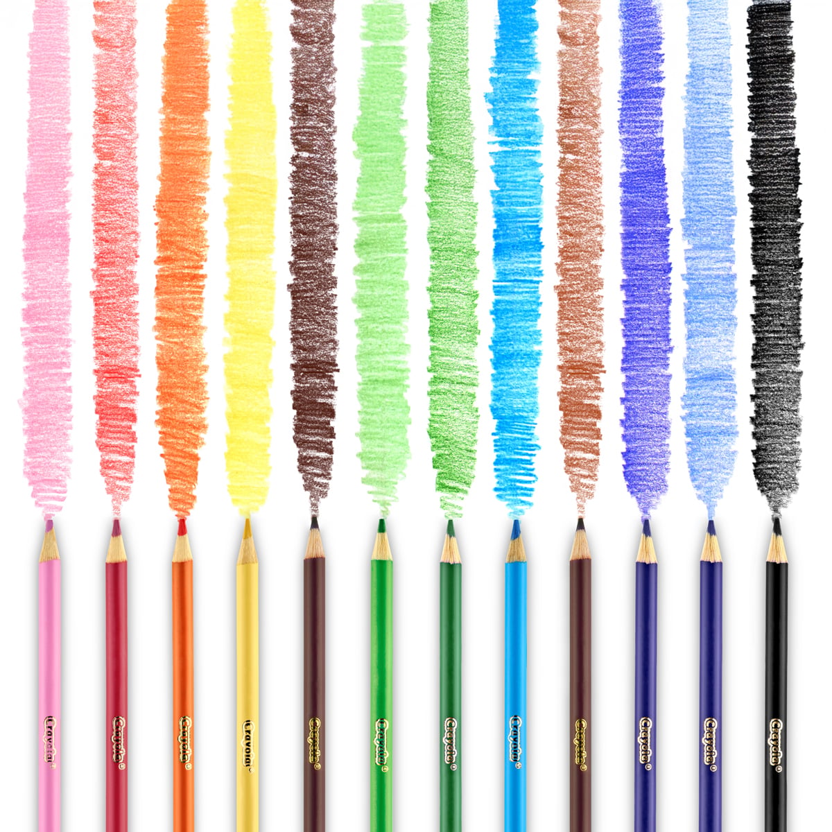 Classroom Set Coloured Pencils (240pcs) - Image 2